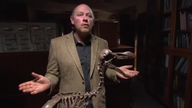 S01:E02 - Inside the Natural History Museum, London