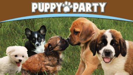 what is a puppy party