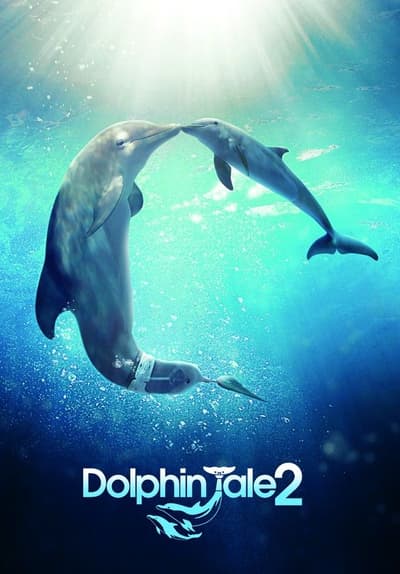 Watch Dolphin Tale 2 (2014) - Free Movies | Tubi