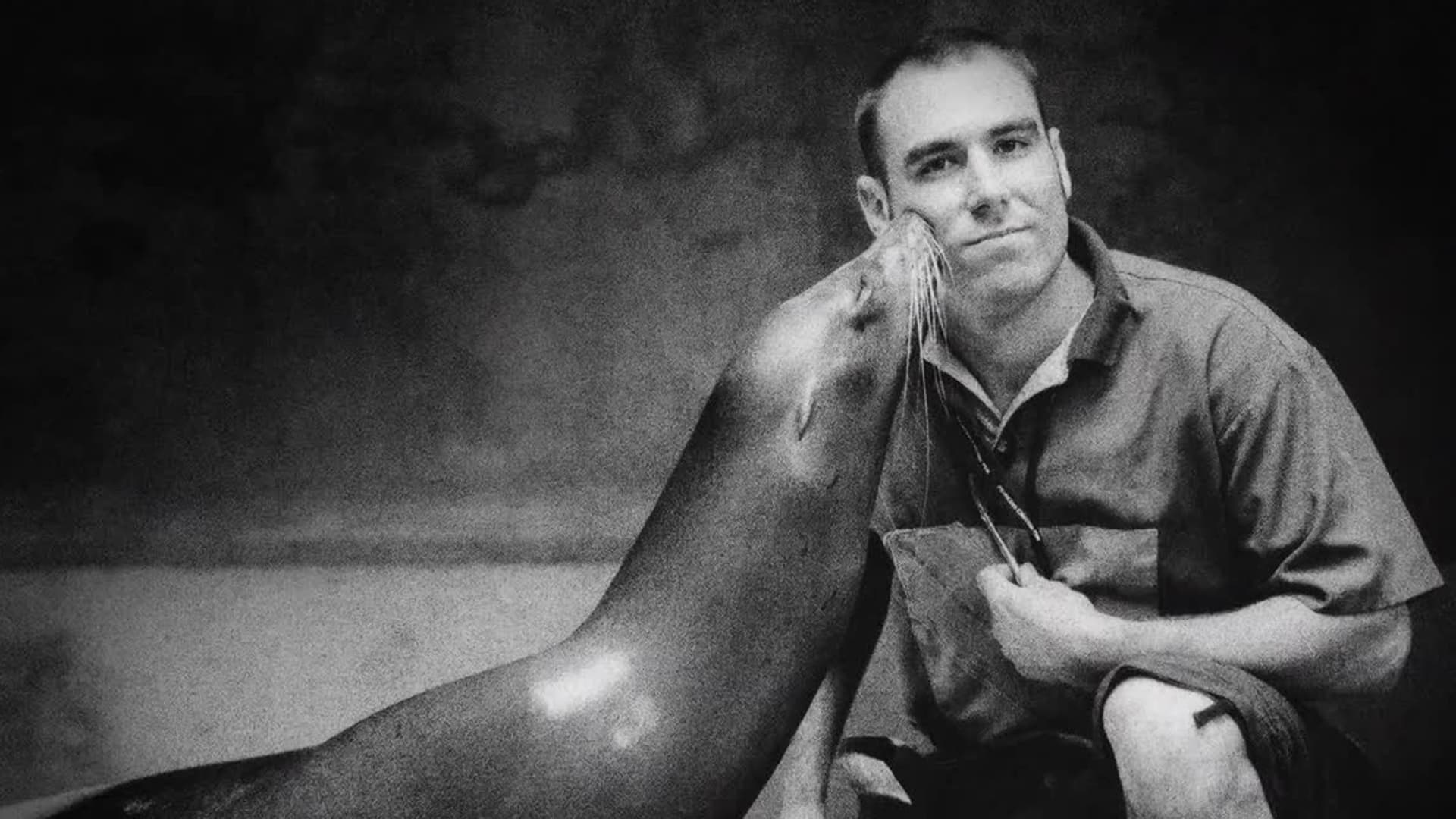 Watch The Last Walrus (2020) - Free Movies | Tubi