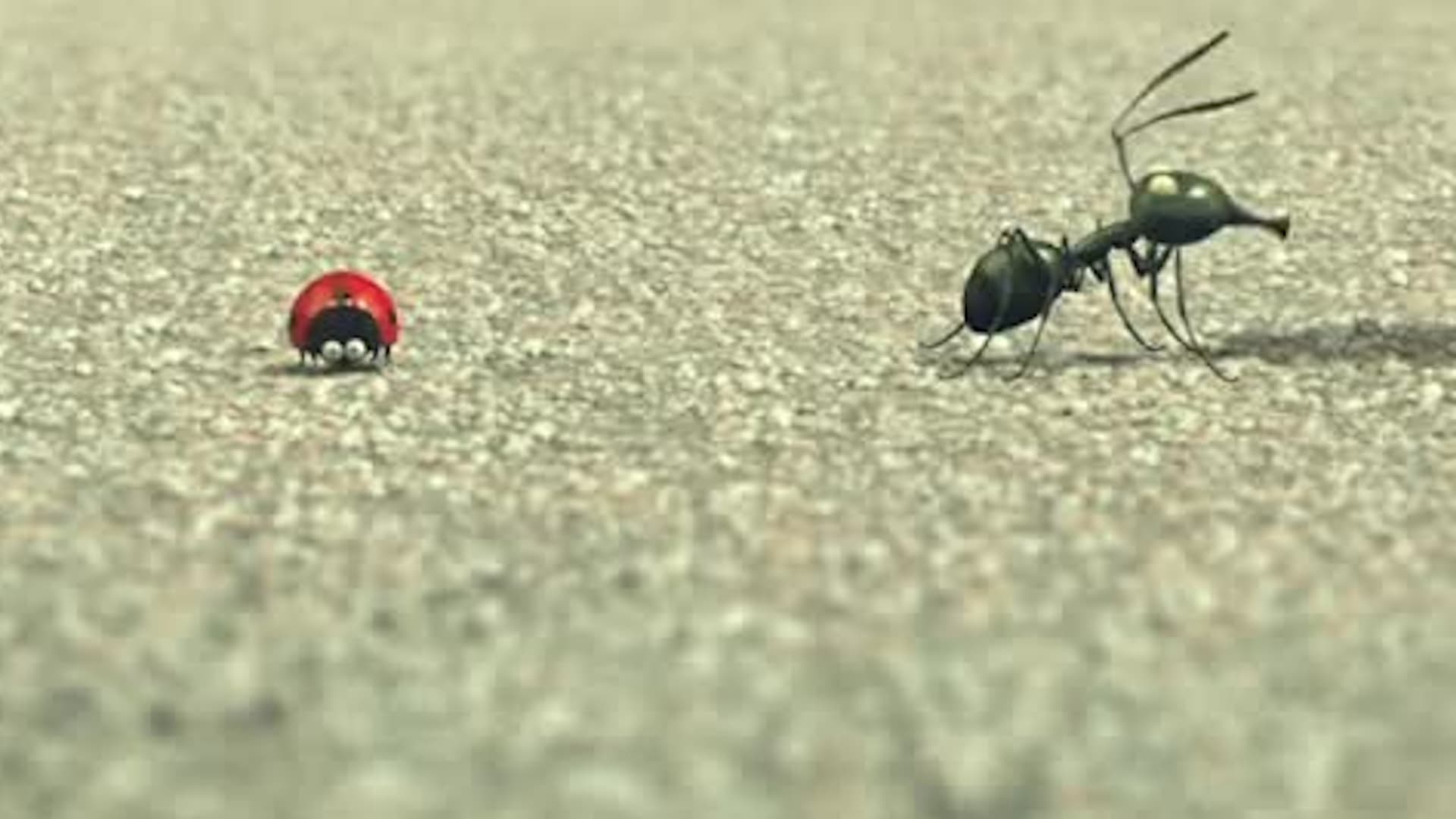 Watch Minuscule Valley Of The Lost Ants 2013 Free Movies Tubi