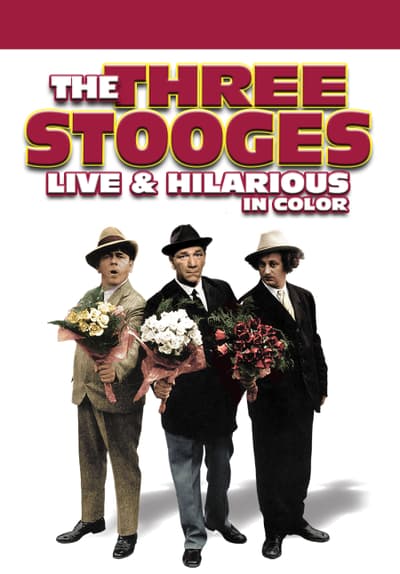 watch the three stooges online free