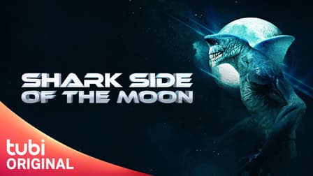 Shark Side of the Moon - 12 de Agosto de 2022