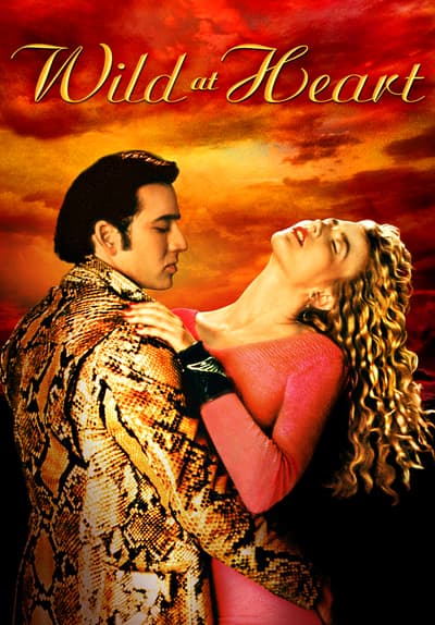wild at heart movie questions